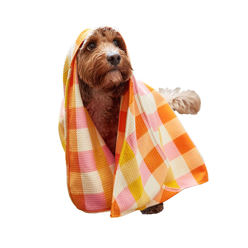 dock and bay towels dog