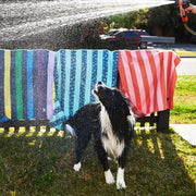 dock and bay dog towels