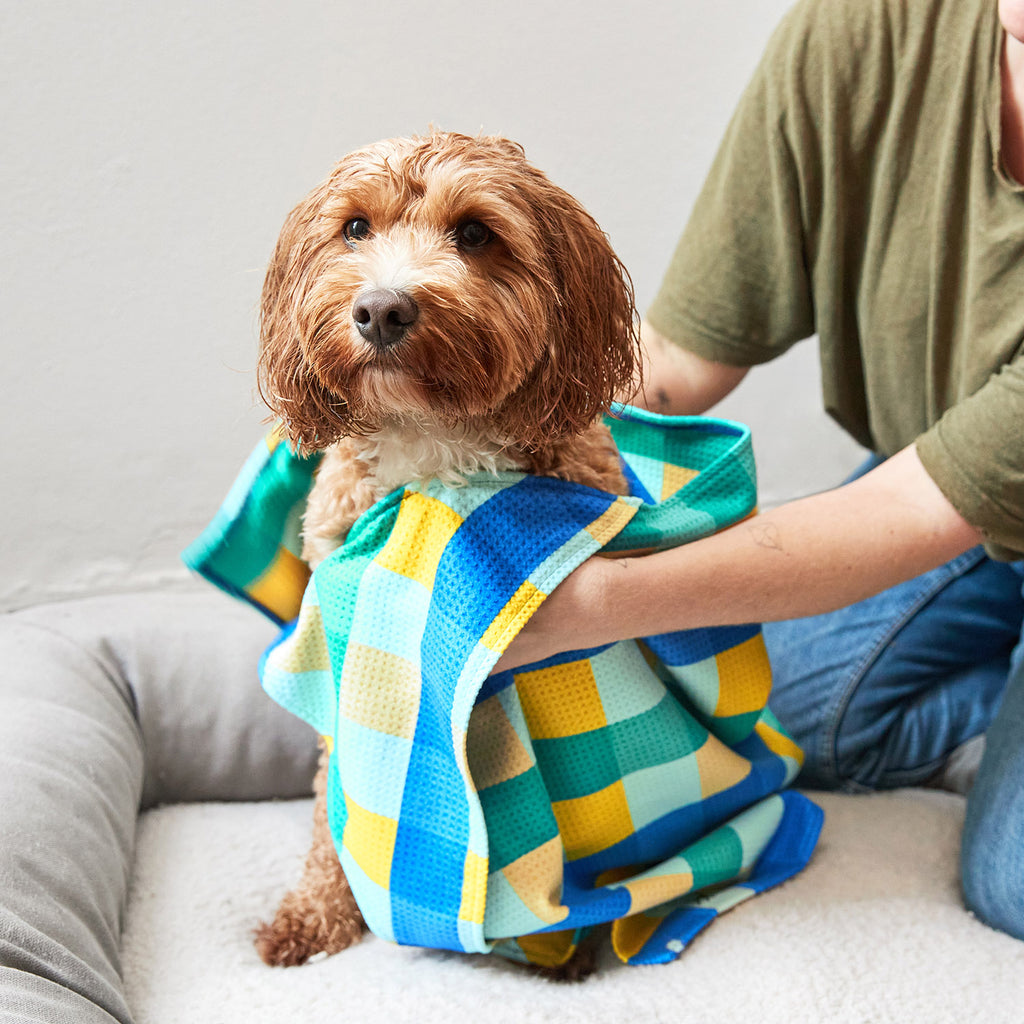 dock and bay towels dog