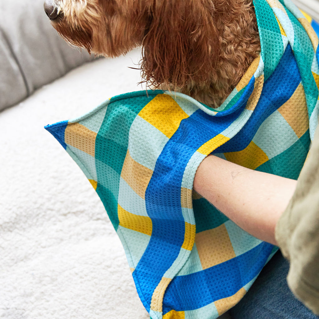 dock and bay towels dog