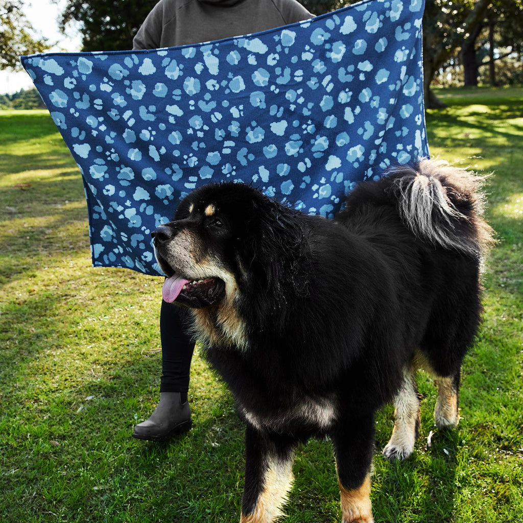 dock and bay towels dog