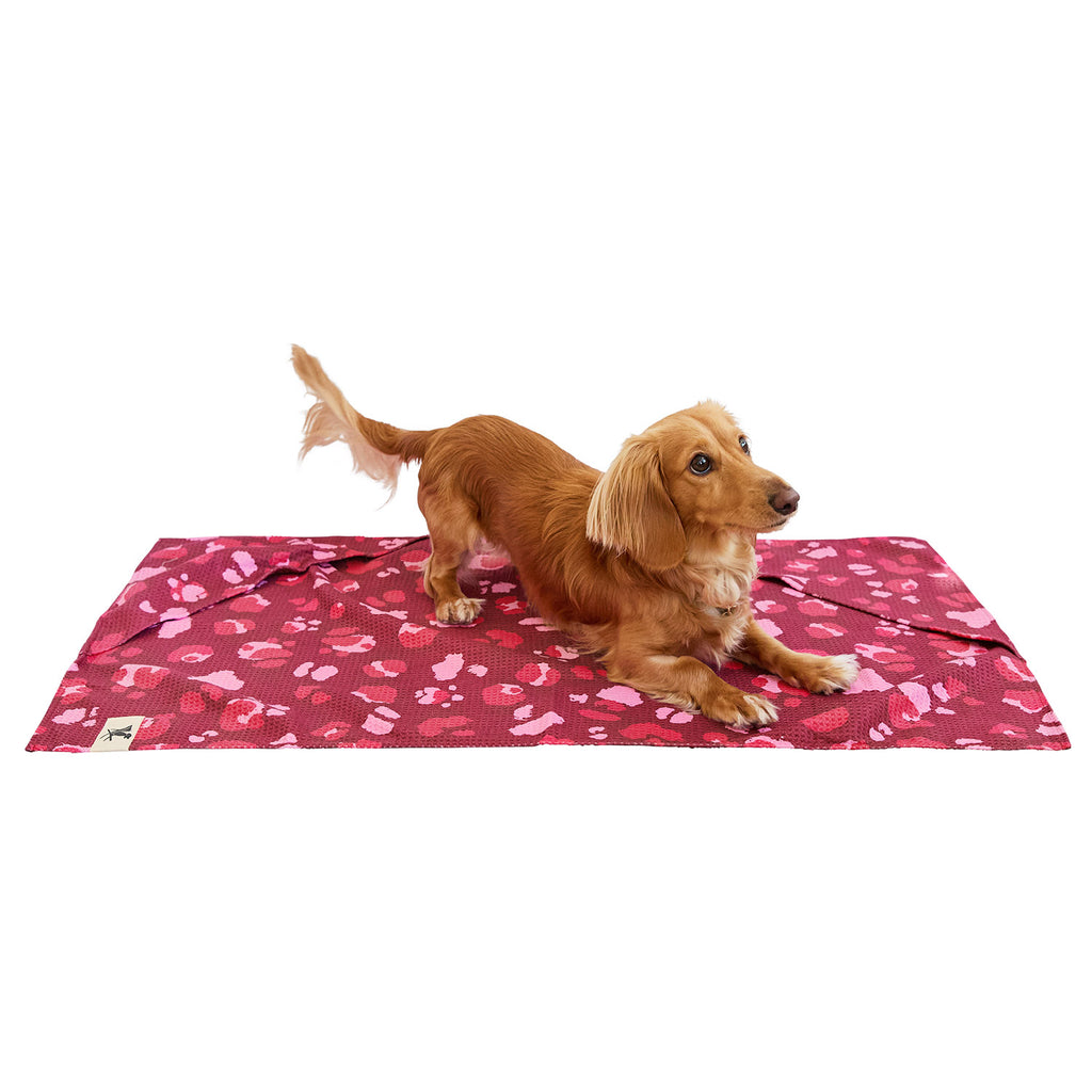 dock and bay towels dog