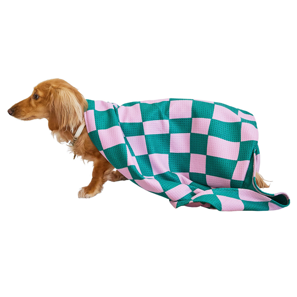 dock and bay towels dog