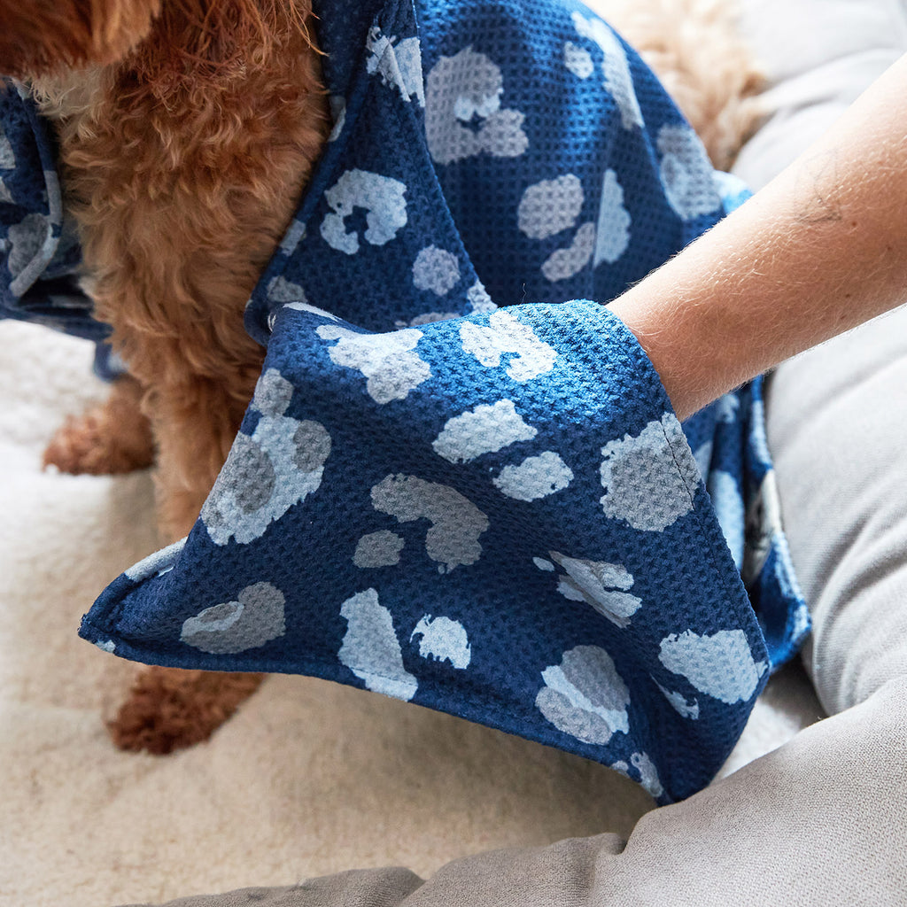dock and bay towels dog
