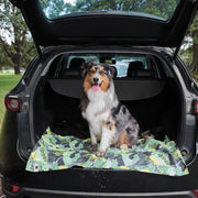dock and bay towels dog