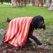 dock and bay dog towels